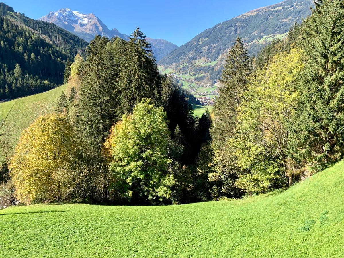 Natur Zeit - Alpine Garden Apartments Mayrhofen Bagian luar foto