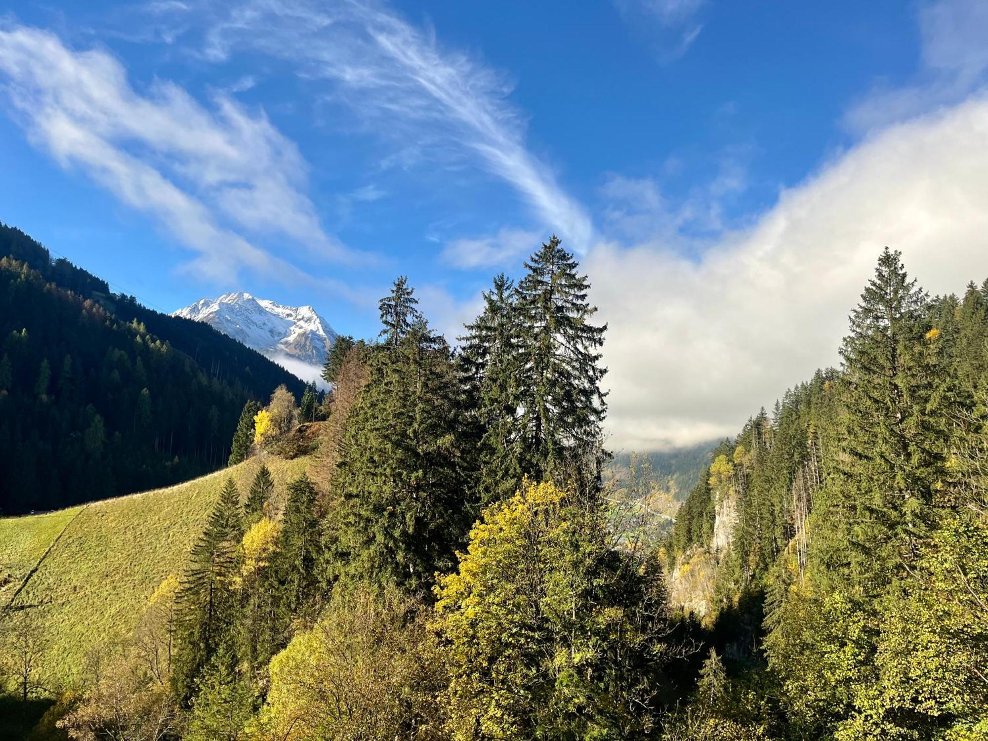 Natur Zeit - Alpine Garden Apartments Mayrhofen Bagian luar foto
